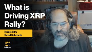 XRP Rising Ripple CTO The Market Considers XRP to Be Similar to Bitcoin amp Ether  CoinDesk TV [upl. by Lledroc]