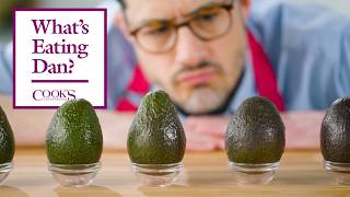 The Most Important Avocado Questions Answered  What’s Eating Dan [upl. by Maze]