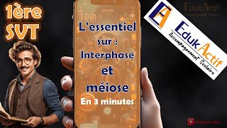 Lessentiel sur linterphase et la méiose en 3 minutesPremière spécialité SVT meiose méiose svt [upl. by Gusta]