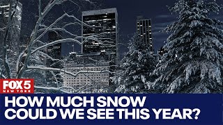 NYC winter 2024 How much snow could we see this year [upl. by Ahsimin]