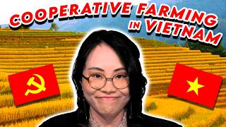 Socialist Farming in Vietnam [upl. by Sudnac]