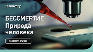 Бессмертие  Discovery  Документальный фильм 2023 [upl. by Huoh646]