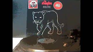 THE STRANGLERS  Midnight Summer Dream Remix Filmed Record Vinyl 12quot Extended Version 1983 Feline [upl. by Hyacinthie]