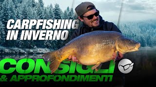 Come affrontare linverno con successo ❄️🏆  Davide Manicardi  Carpfishing [upl. by Lurline]