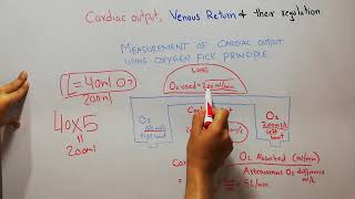 CVS 186  Oxygen fick principle for measurement of cardiac output  How to measure cardiac output [upl. by Robertson482]