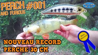 🌷S02E34PÊCHE DE LA PERCHE AUX POISSONS NAGEURS 1 DUOSPEARHEAD RYUKI 50 SLIGHT [upl. by Yadrahc263]