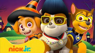 Rubble amp a Patrulha Canina Saem por Doces ou Travessuras com Skye amp Chase  1 Hora  Nick Jr [upl. by Bega]