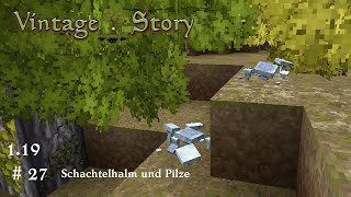 Schachtelhalm und Pilze LP Vintage Story 119 deutsch 027 [upl. by Fital]