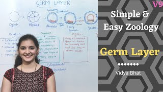 Germ Layers  Formation  Ectoderm  Endoderm  Mesoderm  Derivatives Diploblastic  Triploblastic [upl. by Eetnahc695]