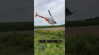 Spraying corn fungicide with a helicopter this week [upl. by Demmer424]