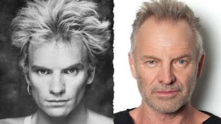 Sting  Fields of Gold  live  19932017 [upl. by Khosrow419]