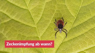 Zeckenimpfung ab wann [upl. by Sedicla]