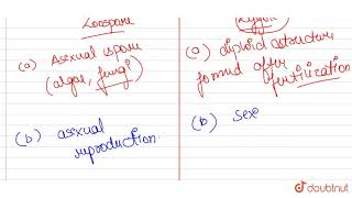 Differentiate between the following  a Zoospore and zygote b Syngamy and fertilization  12 [upl. by Rehpinej]