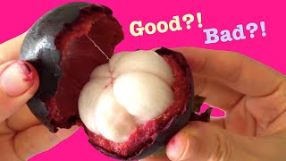 Without opening How to tell apart a sweet Mangosteen from a bad one  Măng cụt  Manggis [upl. by Zechariah]