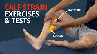 Calf Strain Rehab Exercises and Tests Gastrocnemius or Soleus [upl. by Emelyne]