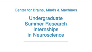 Undergraduate Summer Research Internships in Neuroscience [upl. by Zelda]