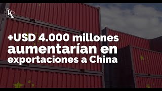 Acuerdo comercial entre Ecuador y China generaría hasta USD 4000 millones más [upl. by Ellehcer]