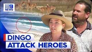 Man punched dingo to stop it attacking jogger  9 News Australia [upl. by Eelyrehc]