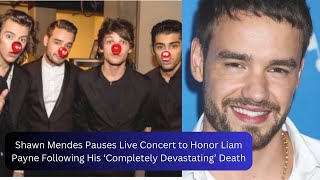 Shawn Mendes Pauses Live Concert to Honor Liam Payne Following His Completely Devastating Death [upl. by Ellevel]