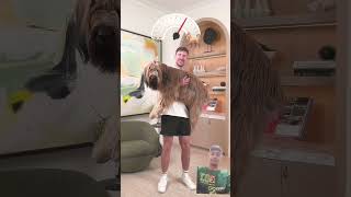 mrbeast ne itane share dog ko laa challenge doglover [upl. by Relyt]