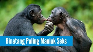 7 Binatang Paling Maniak S3ks Di Dunia [upl. by Giefer]