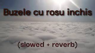 Tzanca Uraganu  Buzele cu rosu inchis slowed  reverb [upl. by Dnomyaw]