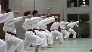 Karate Kampfsportschule Aarau [upl. by Elspet]