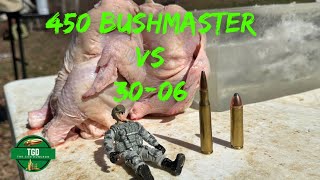 450 Bushmaster VS 3006 Ballistic Chicken Test [upl. by Jeri423]