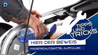 DIY  Selber Frostschutzmittel nachfüllen  Ford Danner [upl. by Kelly]