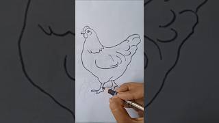 How To Draw A Hen Step By Step [upl. by Irvine]