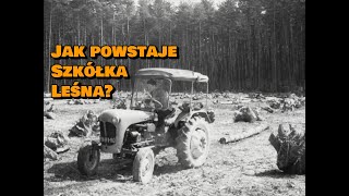 quotSzkółkarstwo leśnequot 1963 CAŁY FILM [upl. by Iridis757]