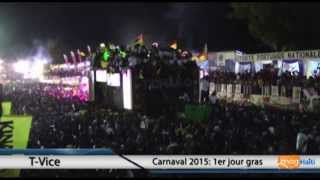 Carnaval 2015  performance de TVice 1er jour [upl. by Johansen]