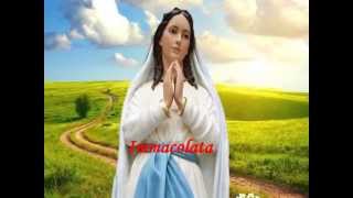 Immacolata Vergine Bella  Realizzazione video Gabriella Di Carlo [upl. by Pius]