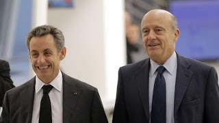 Primaire Les Républicains  quotNicolas Sarkozy a un instinct de bête politique lorsquil sagit de [upl. by Suoinuj]