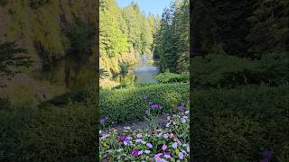 Butchart Gardens ButchartGardens victoriabc waterfountain flowers canada [upl. by Bekaj3]