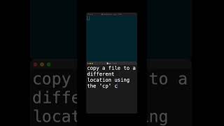 Copy file  macOS Terminal quickcode python cli [upl. by Lewej]