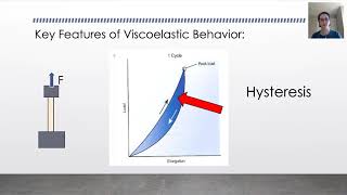 Biomechanics Tendon Viscoelasticity [upl. by Albie616]