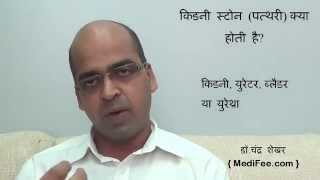 Kidney Stones Signs and Symptoms  Diagnosis  Prevention  Causes in Hindi [upl. by Eniamor]