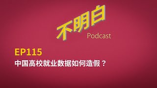 EP115 中国高校就业数据如何造假？  中国经济失业率  就业  考公  润  高校  造假 [upl. by Jermyn]