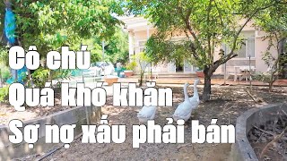 Sợ nợ xấu cô chú phải bán ngôi nhà vườn xịn xò đúng chất nghĩ dưỡng [upl. by Ila]