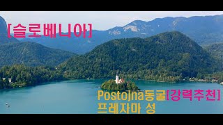 슬로베니아Postojna동굴 프레자마성 [upl. by Einatsed336]