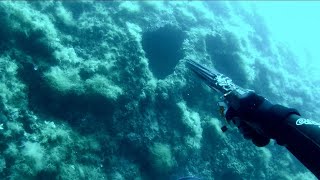 🔱 74 kg Dusky grouper in the cave at 14 meters 🔱 [upl. by Muryh]