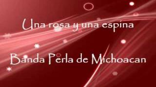 Una rosa y una espina Banda Perla de Michoacan [upl. by Eelloh773]