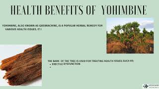 health benefits of Yohimbine [upl. by Yleek717]