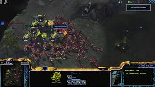 Starcraft 2  2v2  Aug 31 2024  B  SC2 Gameplay [upl. by Amoakuh]