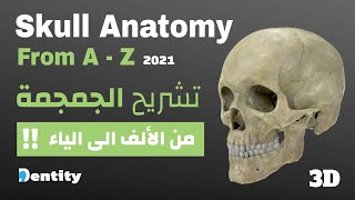 شرح مبسط  تشريح الجمجمة  Skull Anatomy  From AZ [upl. by Nalorac268]