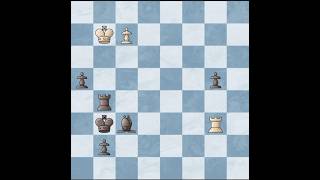 White Teimour Radjabov vs Black Parham Maghsoodloo  2024 01 chess rapidchess shorts [upl. by Mendelson]