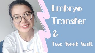 IVF Journey 胚胎移植是怎样的体验❓Embryo Transfer amp Two Week Wait [upl. by Halle717]