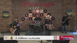 El Gorrion y La Paloma quotNo Volverequot [upl. by Og]