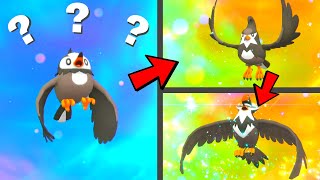 How to find Starly and Evolve it into Staravia then Staraptor in Pokemon Scarlet amp Violet [upl. by Llenrag]